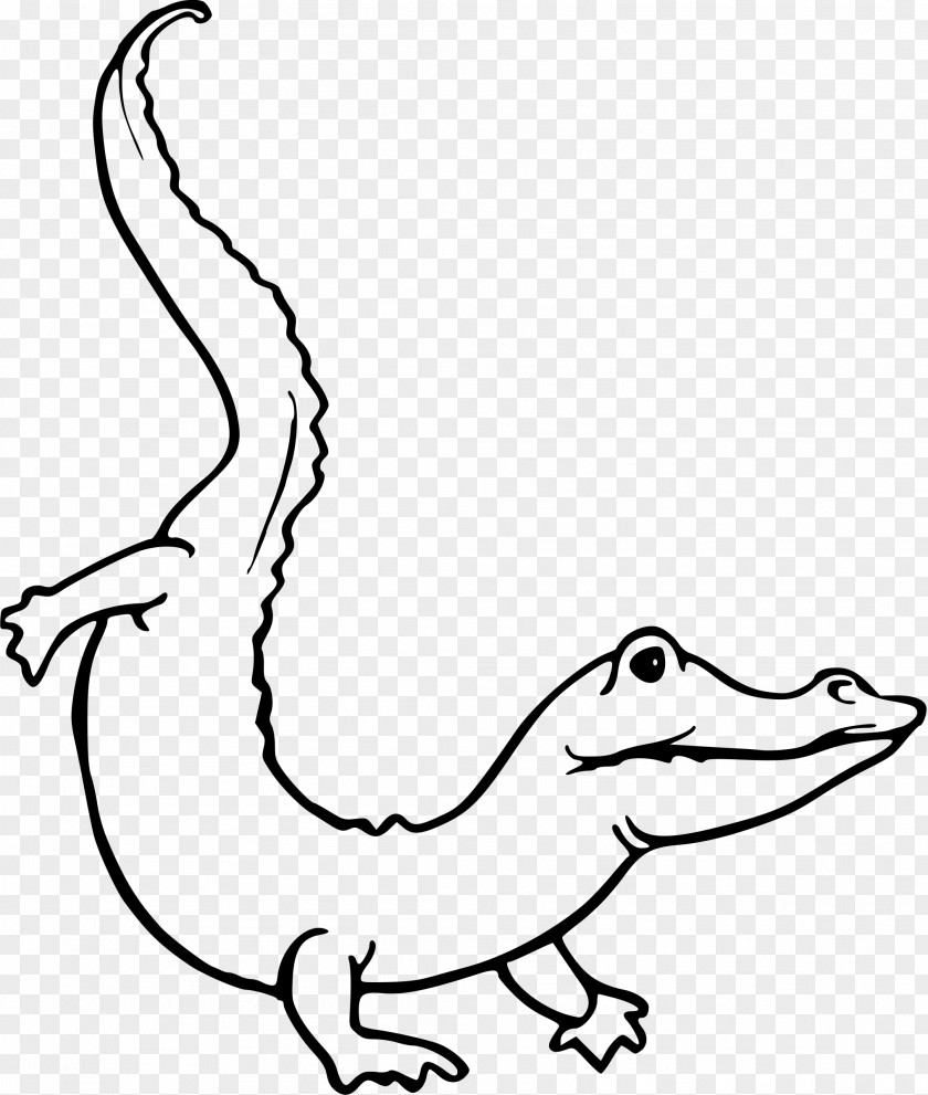 Reptile Crocodile Alligator Drawing Line Art PNG