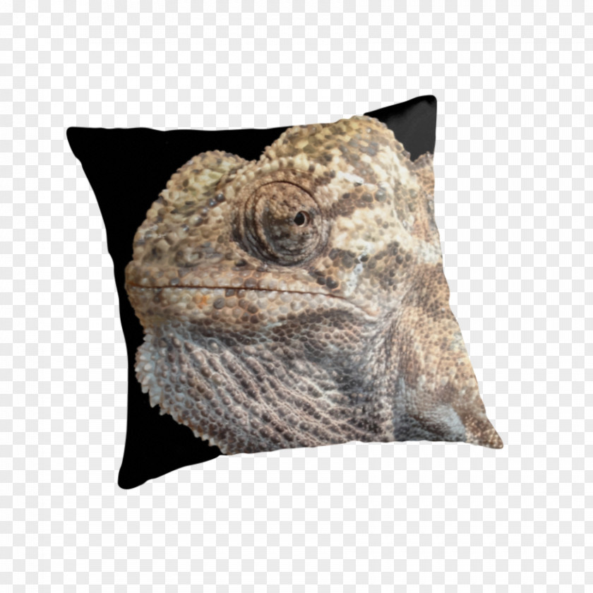 Zipper Isolated Chameleons Throw Pillows Cushion Cool PNG
