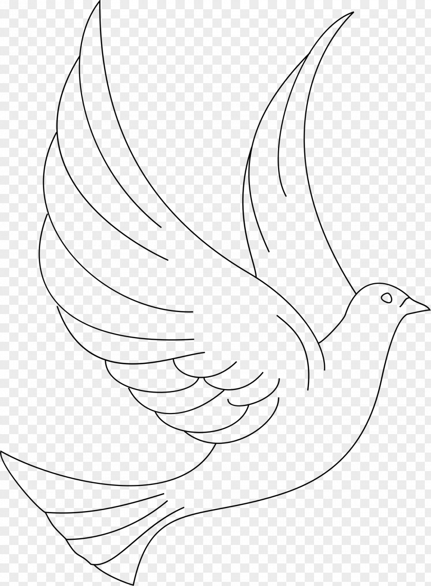 DOVE Coloring Book Line Art Drawing Bird Clip PNG