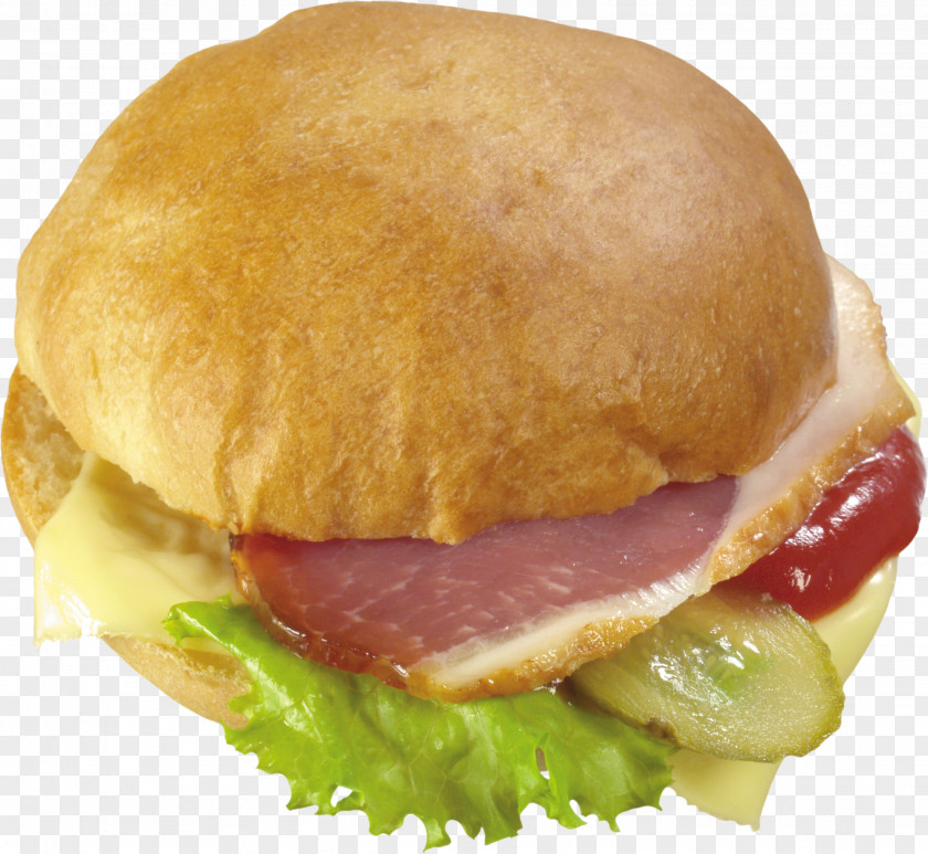 Junk Food Cheeseburger Fast Hamburger Buffalo Burger Bocadillo PNG
