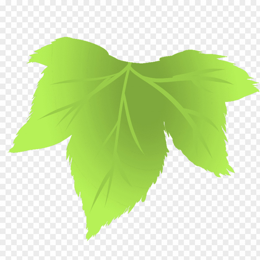 Budou Leaf Line Tree PNG