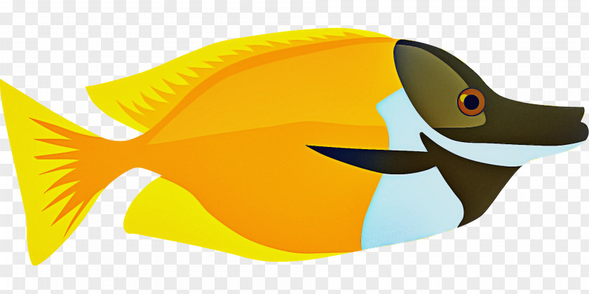 Cartoon Yellow Beak Fish Science PNG
