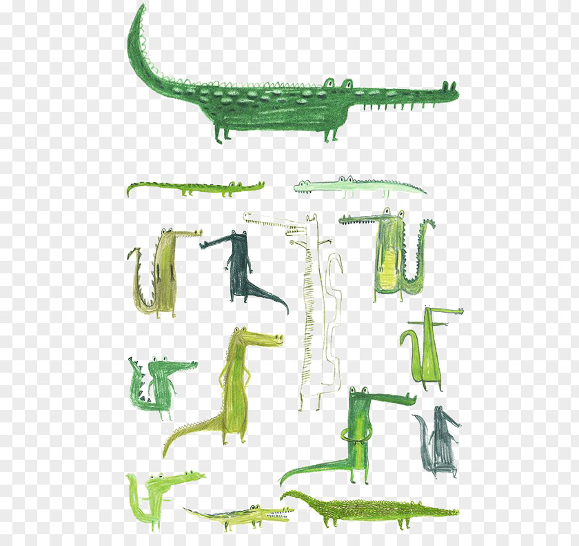 Crocodile Drawing Illustrator Painting Illustration PNG