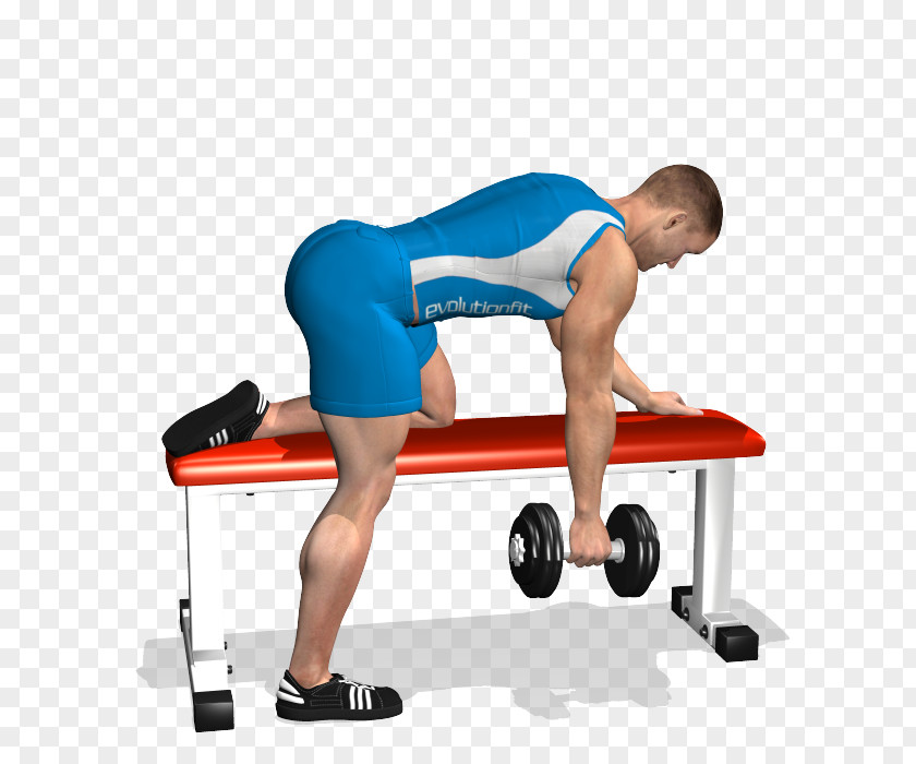 Dumbbell Bent-over Row Bench Exercise PNG