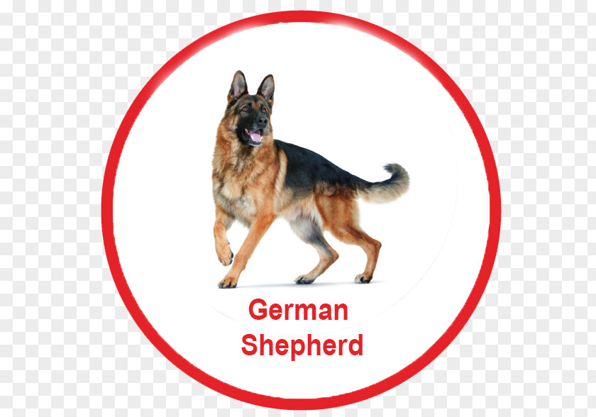German Shepherd Silhouette Dachshund Dog Toys Ball Fetch PNG