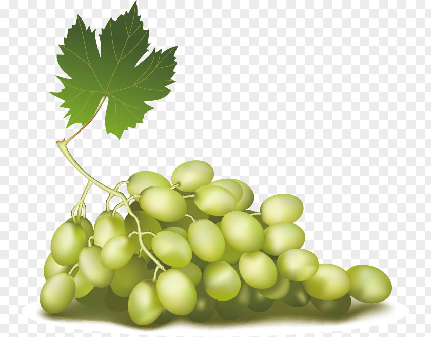 Grape Fruit Download Clip Art PNG