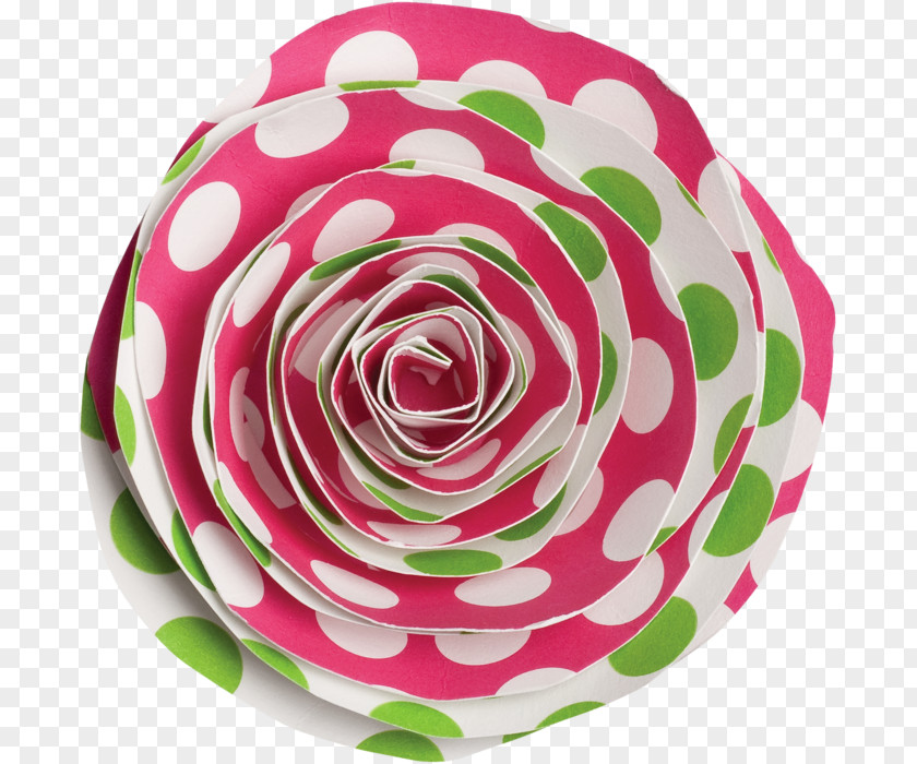 Internet Element Garden Roses Cut Flowers Petal PNG