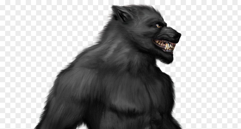 LObo Werewolf Gorilla Legend Gray Wolf PNG