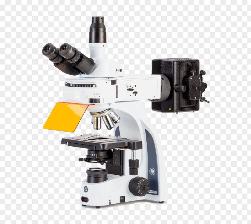 Microscope Fluorescence Microscopy Fluorophore PNG