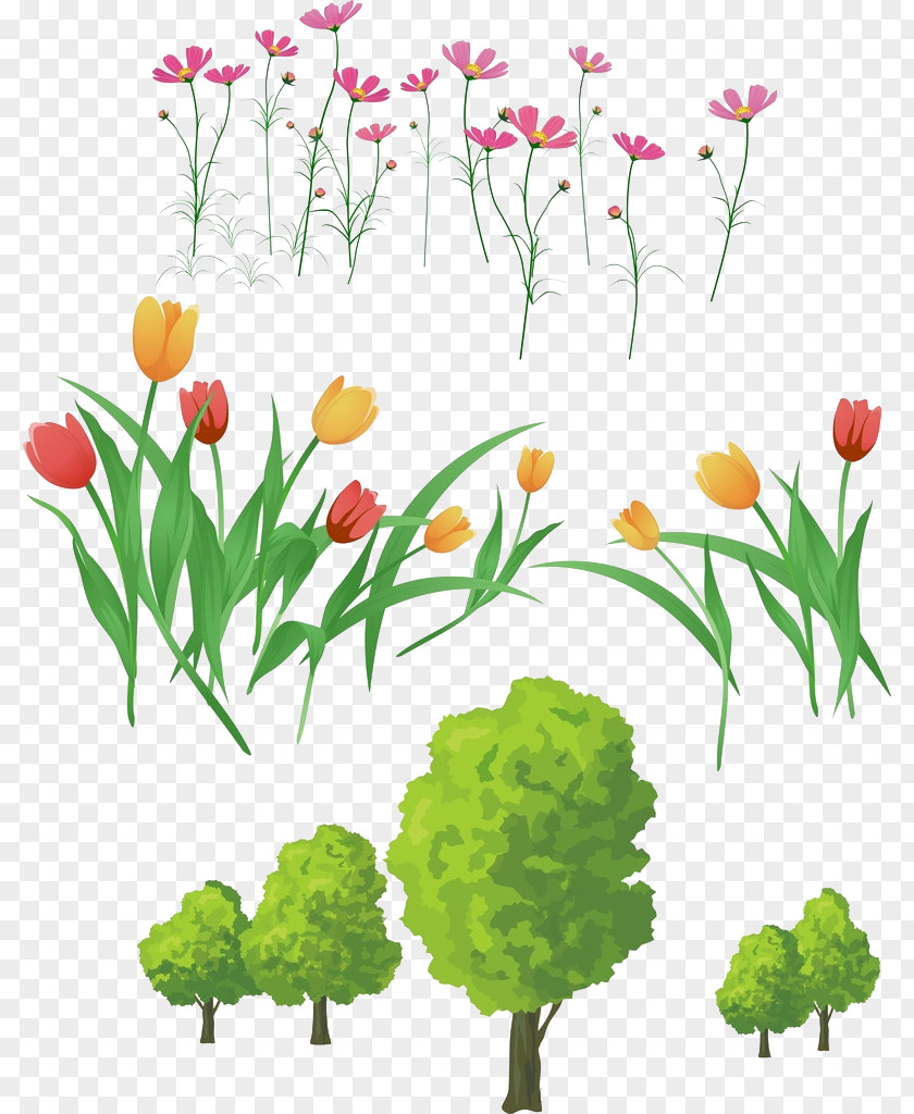 Colored Tulips Tulip Flower Download Clip Art PNG