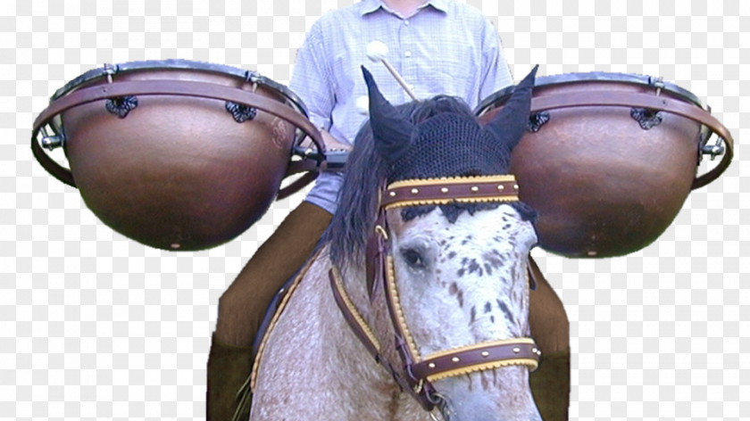Horse Tom-Toms Timpani Lefima Drum PNG
