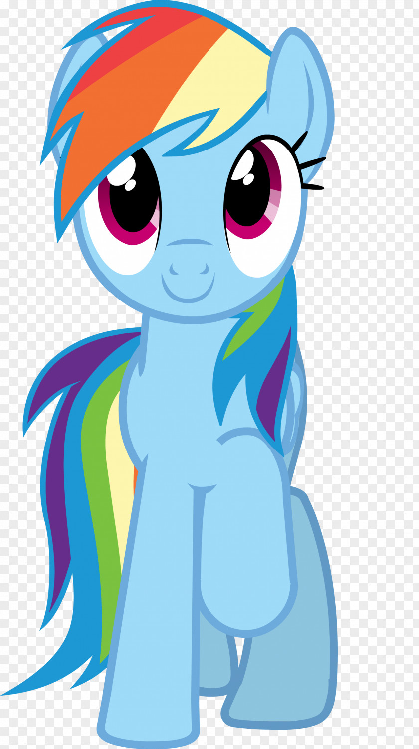 Rainbow Dash Pony Rarity Applejack Pinkie Pie PNG