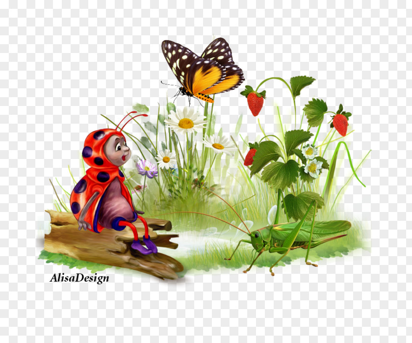 Animal Figure Vanessa Butterfly September Background PNG