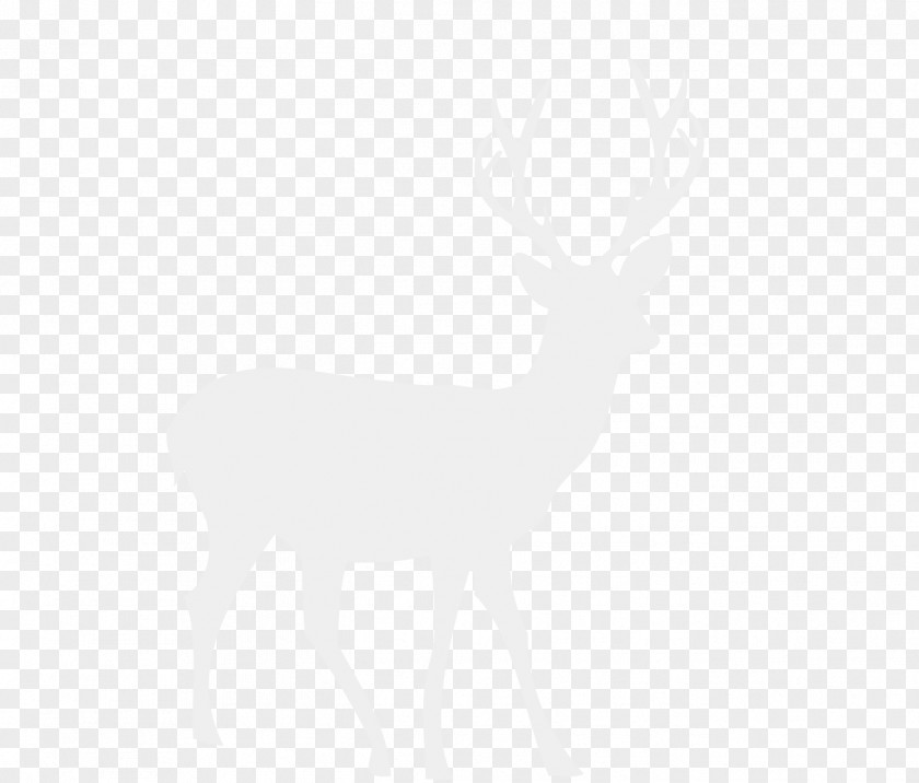 Cartoon Deer Element Reindeer White-tailed Black And White PNG