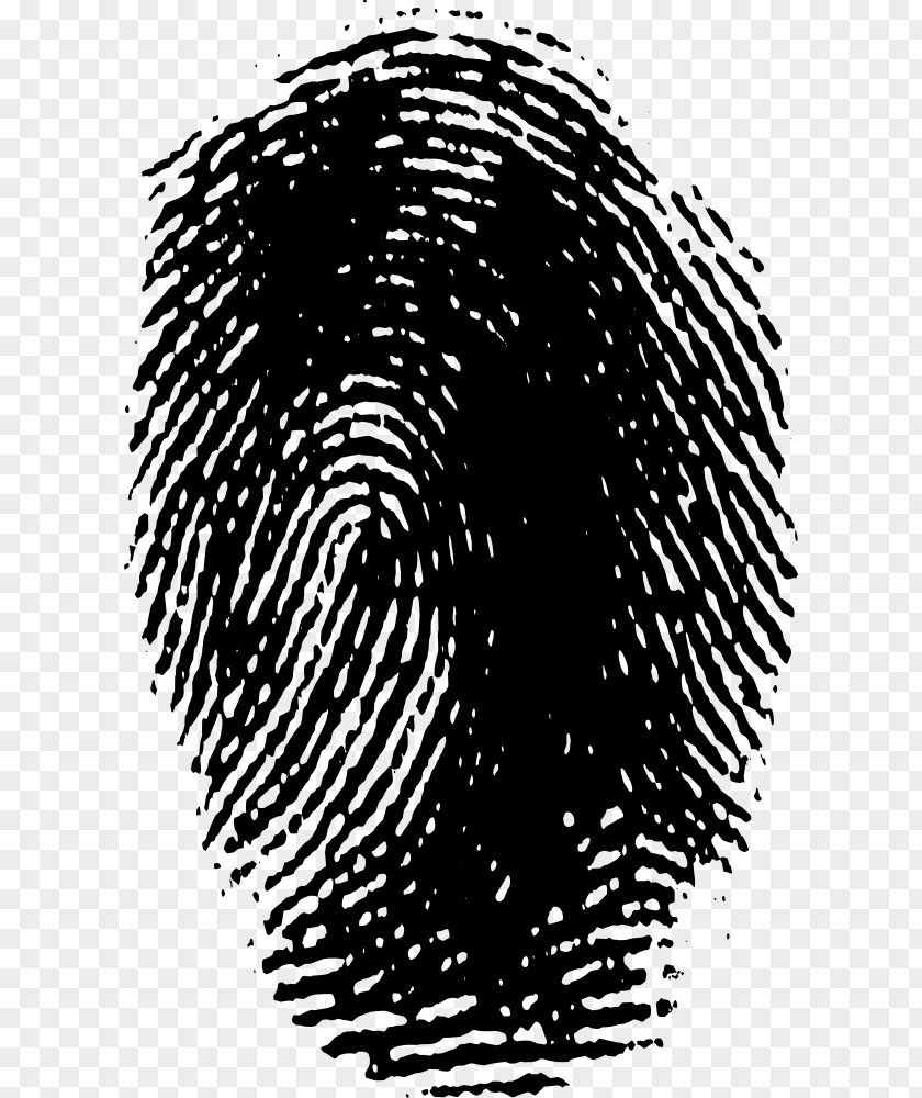 Finger Print PNG