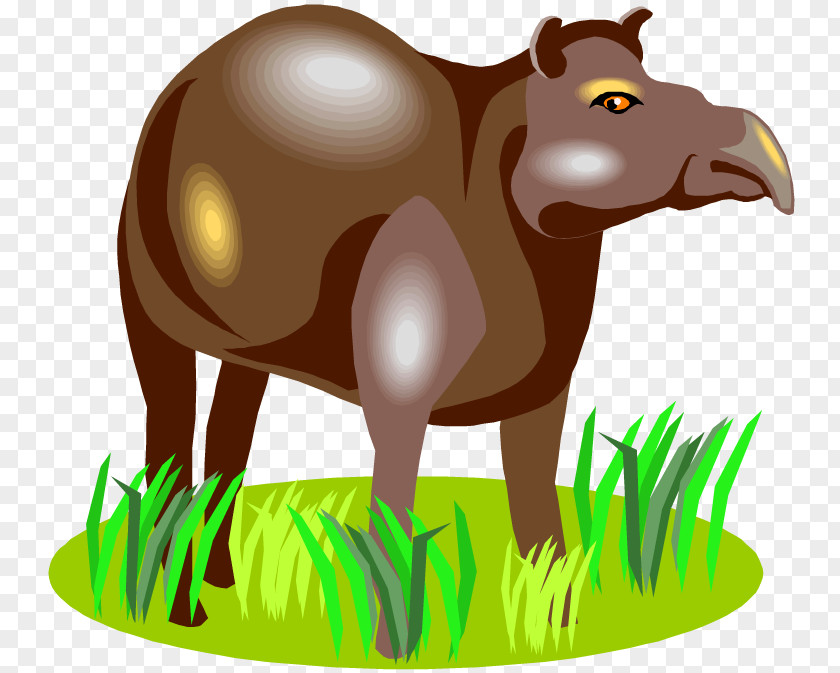 Horse Tapir Clip Art Illustration Image PNG