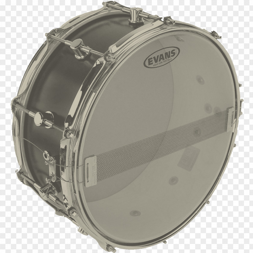 Percussion Evans Snare Drums Drumhead PNG