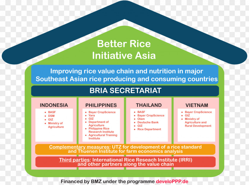 Rice Value Chain Organization Supply PNG