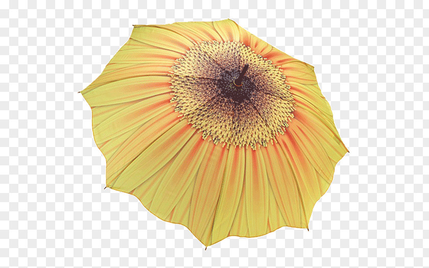 Umbrella Stand Yellow Clothing Accessories Red PNG