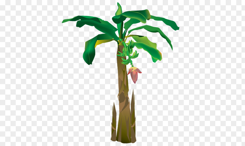 Banana Saba Plant Tree Musa Acuminata PNG