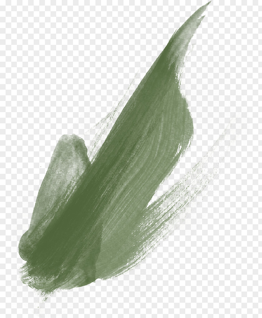 Green Pigment Pen Marks Paintbrush PNG
