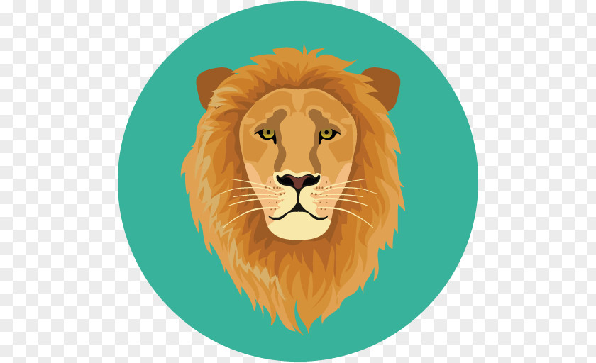 Lion Tiger Whiskers PNG