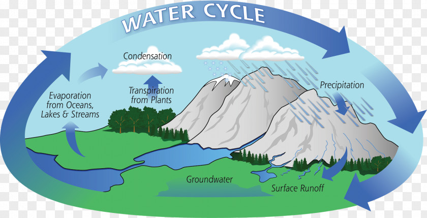 Water Cycle Hydrology Atmosphere Of Earth Evaporation PNG