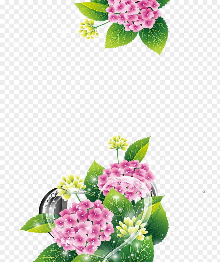 Beautiful Background Poster Floral Design PNG