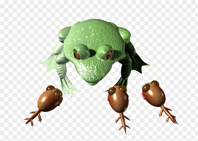 Frog Toad True Fugu Tree PNG