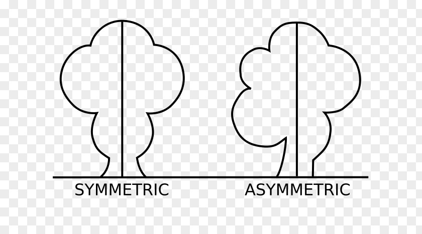 Irregular Shading Asymmetry Definition Meaning Art PNG