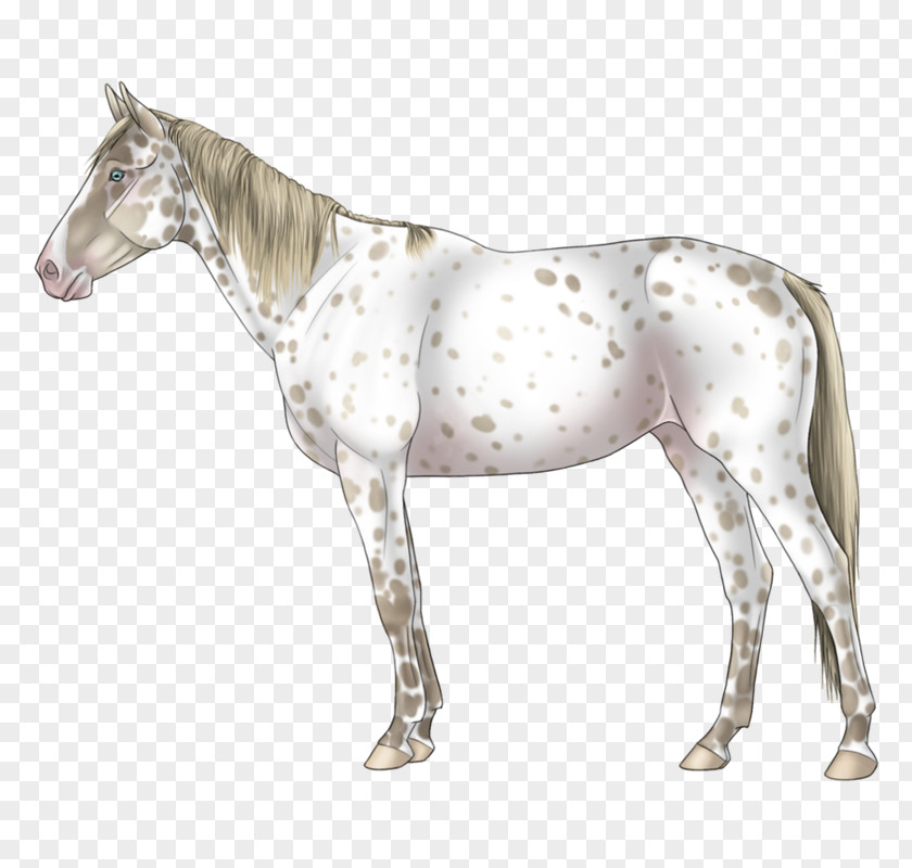 Mustang Mane Stallion Pony Mare PNG