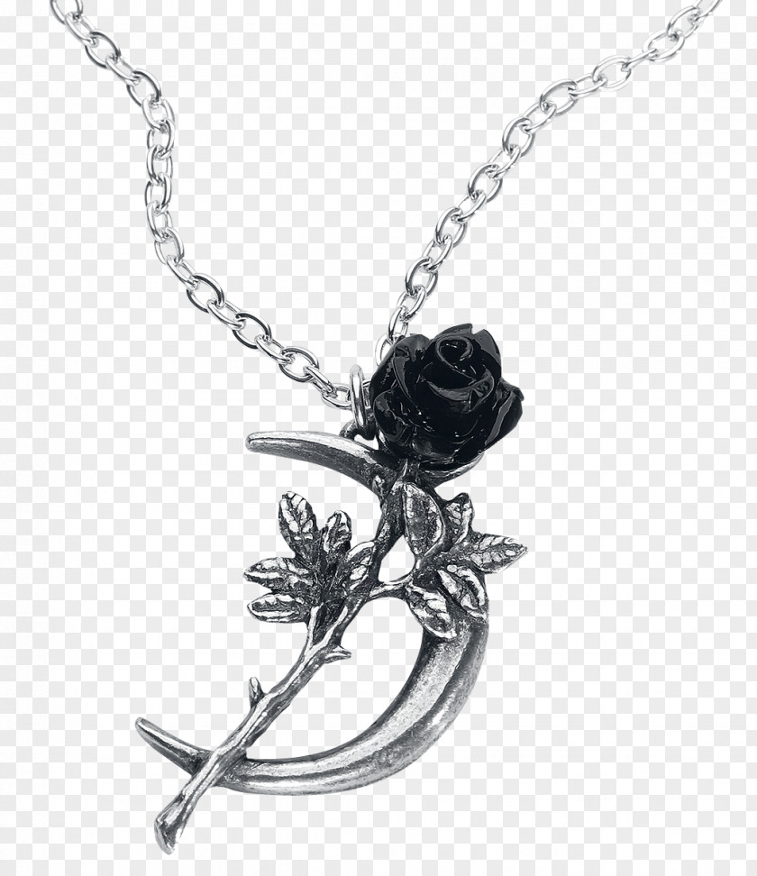 Necklace Alchemy Gothic Jewellery Romance Film Earring PNG