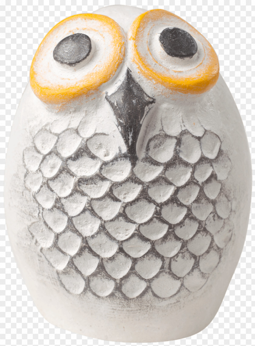 Owl Easter Egg Beak Animal PNG