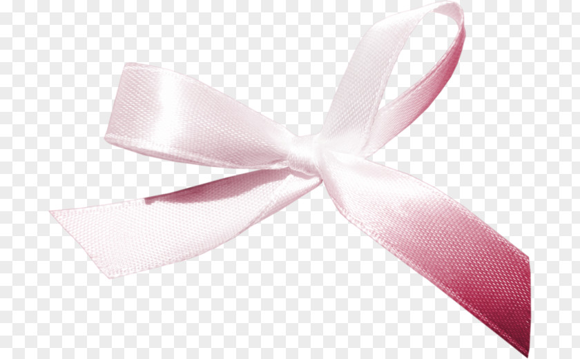 Ribbon Bow Tie Blog Pink M PNG