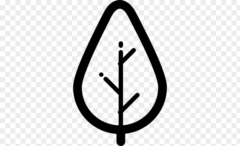 Tree Icon Design Download Clip Art PNG