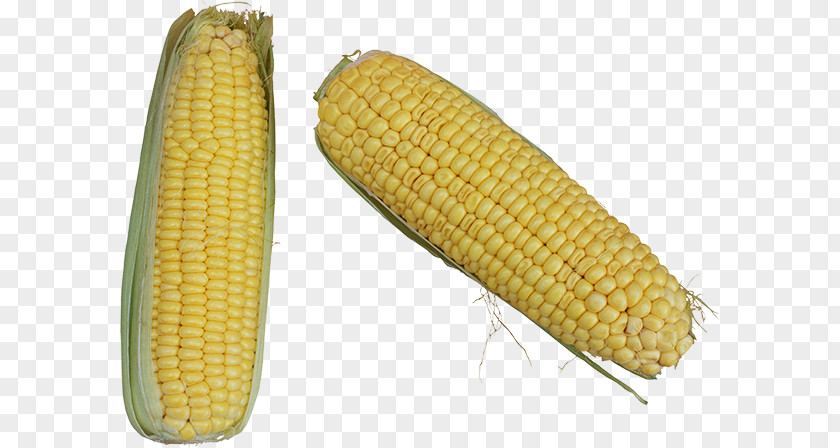 Vegetable Corn On The Cob Maize Food Kernel PNG