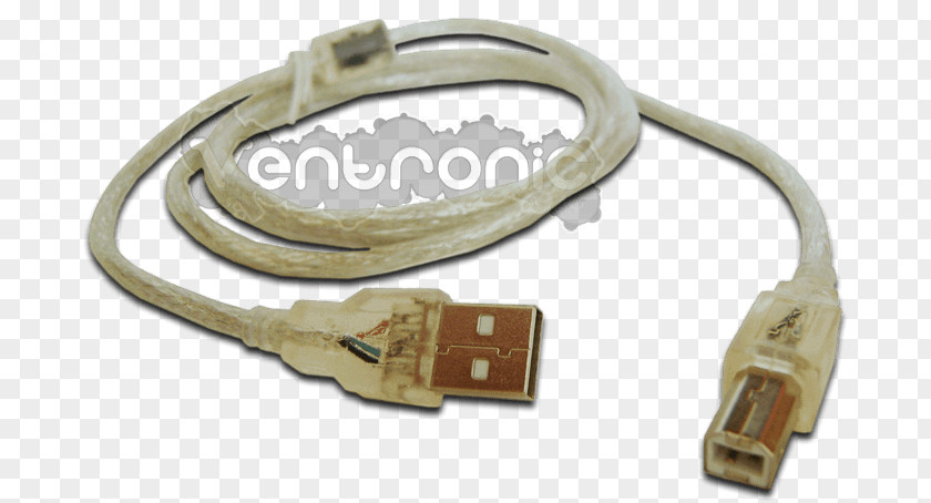 Cables Serial Cable Electrical Ethernet Data Transmission USB PNG