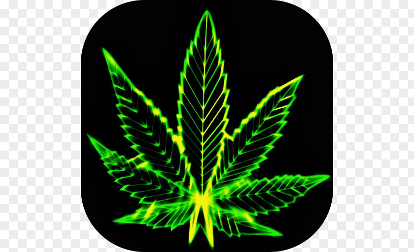 Cannabis Desktop Wallpaper Sativa Computer PNG
