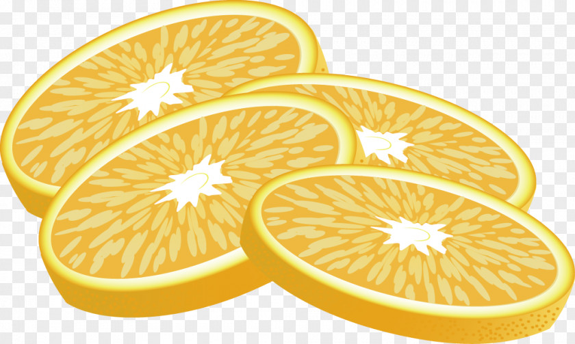 Lemon Slice Decorative Design Vector Euclidean Fruit PNG