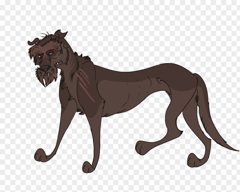 Lion Dog Big Cat Wildlife PNG