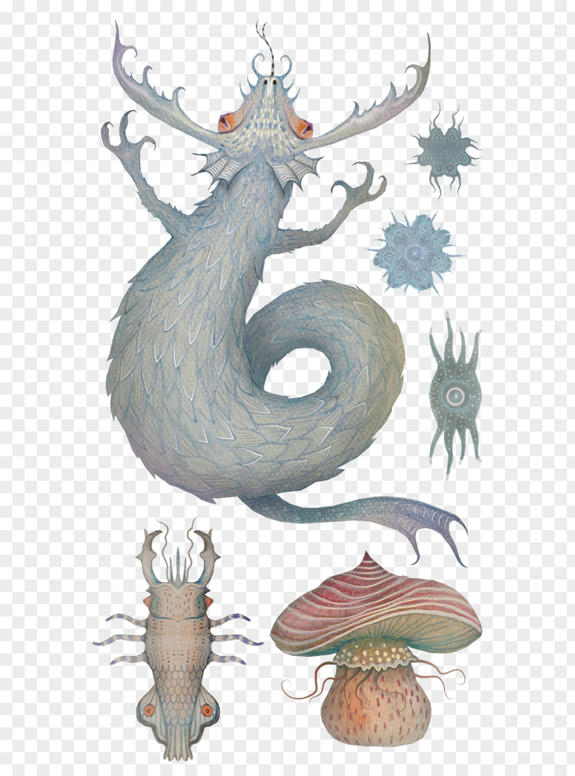 Nature Sea Animals Marine Microorganisms Drawing Art Watercolor Painting Printmaking PNG