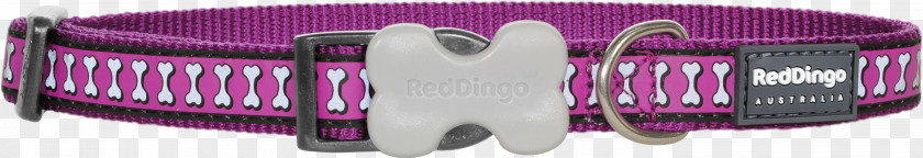 Red Collar Dog Dingo Puppy Pet Tag PNG