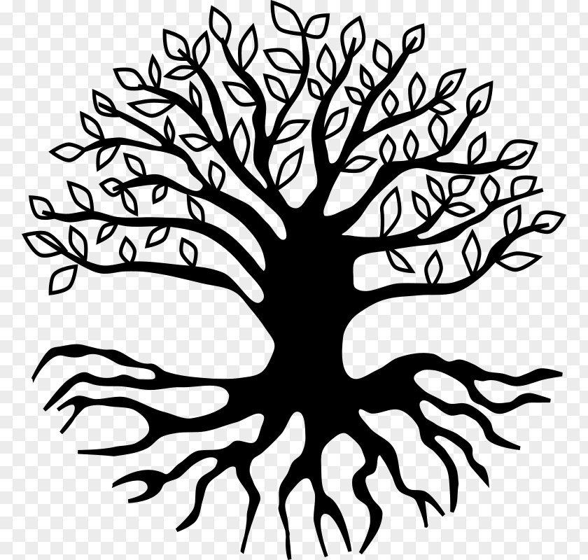 Tree Roots Root Clip Art PNG