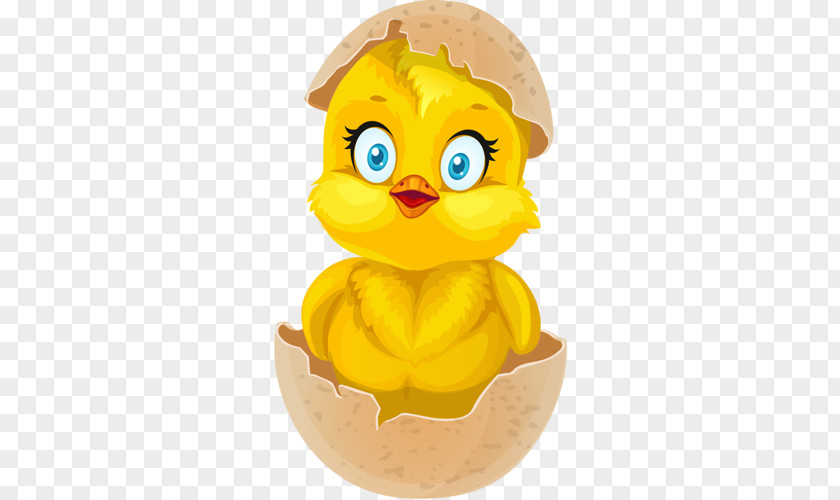 Broken Shell Chick PNG shell chick clipart PNG