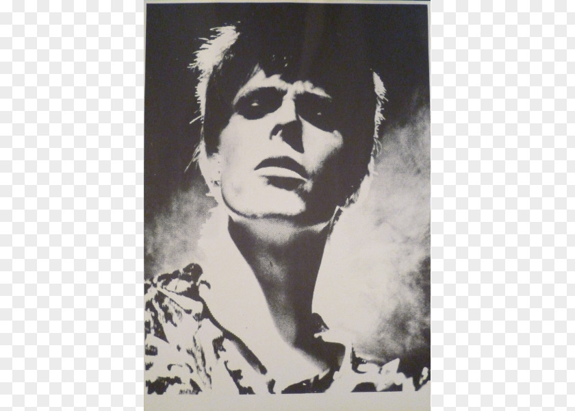 David Bowie Portrait Poster Modern Art White PNG