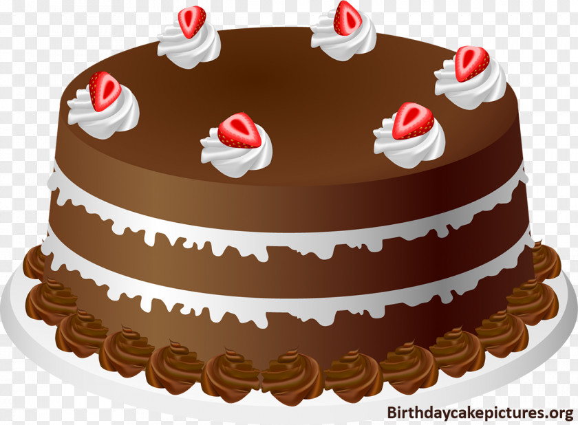 German Party Cliparts Chocolate Cake Birthday Sponge Strawberry Cream Wedding PNG