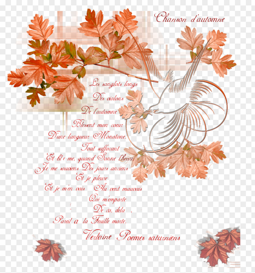 Les Paul Chanson D'automne Mons 2015 Autumn Poet PNG