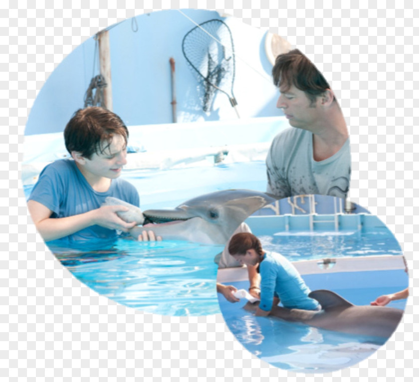 Nathan Gamble Clearwater Marine Aquarium Dr. Clay Haskett Film Dolphin Tale PNG