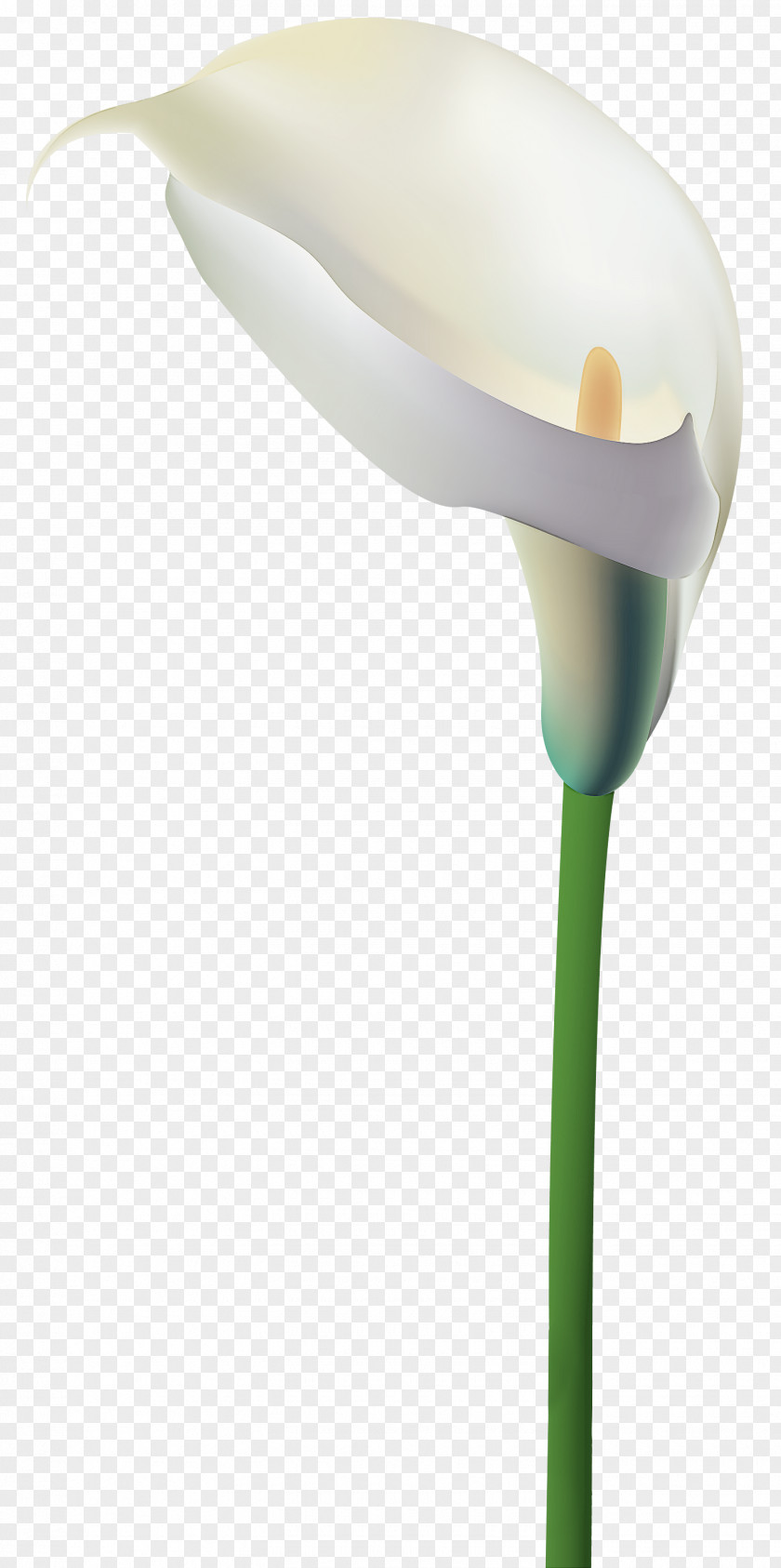 Street Light PNG