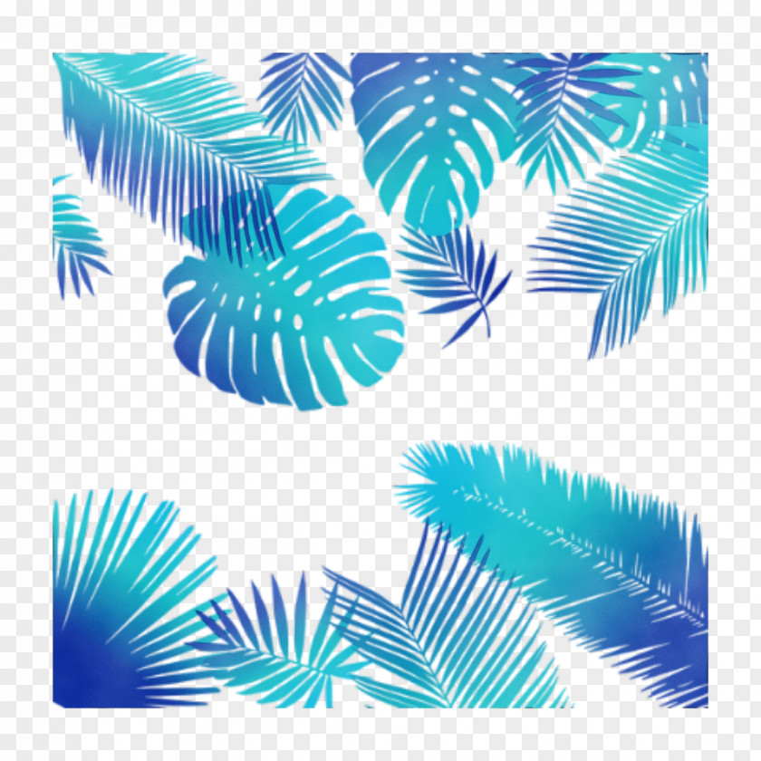 Vascular Plant Arecales Palm Tree Background PNG